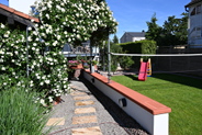 Unser großer Garten mit Rosen