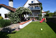 Our backyard and house from the back