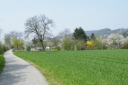 Naheliegende Felder und Schrebergärten in Wyhlen