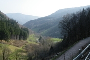 Schwarzwald bei Todtnau (45 Minuten entfernt)