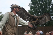 Bird flight show in Bird Park Steinen (20 minutes away)